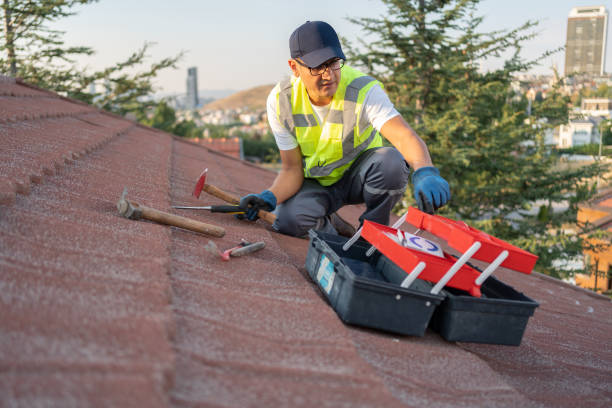 Best Carpet Removal and Disposal  in Madeira Beach, FL